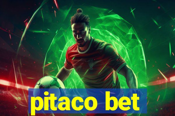 pitaco bet